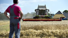 (ARKIV) H&oslash;st ved &Oslash;ster Hurup i Nordjylland. Danmarks Statistik sk&oslash;nner, at det danske bruttonationalprodukt er faldet med 7, 4 procent i andet kvartal. Det skriver Ritzau, fredag den 14. august 2020.. (Foto: Henning Bagger/Ritzau Scanpix)