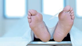 D&oslash;dsulykker p&aring; transportomr&aring;det vejer tungt i statistikken. 14 af &aring;rets 35 dr&aelig;bte var chauff&oslash;rer.