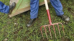 Det er et problem, at langt under halvdelen af de arbejdsulykker, der sker i landbruget, ikke bliver meldt til Arbejdstilsynet. Uden kendskab til ulykkerne er det svært at forebygge nye ulykker.