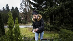 Næsten hver dag i mere end to år efter Robertas Masiliunas' begravelse, besøgte Jolanta Masiliùniené hans gravsted i Brande.