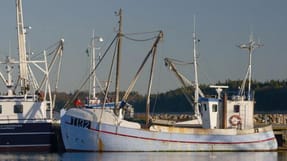 Fiskerens arbejdsskadesag er endnu ikke afsluttet, og derfor har&nbsp;retten endnu ikke kunnet fasts&aelig;tte&nbsp;erstatningens st&oslash;rrelse.