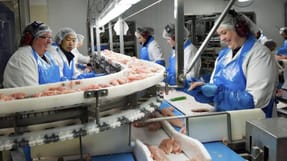 Corona-krisen har &oslash;get salget af kyllingek&oslash;d, og hvis den st&oslash;rre afs&aelig;tning forts&aelig;tter, kan der m&aring;ske ogs&aring; v&aelig;re basis for flere job p&aring; fjerkr&aelig;slagteriet i Vinderup. Arkivfoto: HKScan