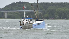 For hver 10.000 medlemmer af fagforbundet, der er besk&aelig;ftiget inden for landbrug, skovbrug eller fiskeri, fik 300 i 2018 anerkendt en arbejdsulykke.