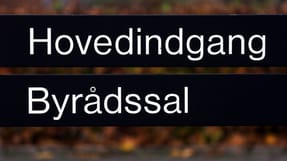 Reglerne giver gode muligheder for, at man b&aring;de kan v&aelig;re ansat i et fleksjob og blive valgt til byr&aring;det, sl&aring;r besk&aelig;ftigelsesministeren fast. 