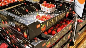 En bakke med 0,5 kilo jordb&aelig;r fra F&oslash;ltved koster 35 kroner i flere Coop-butikker. Til sammenligning har s&aelig;sonarbejdere tjent 36 kroner i l&oslash;n f&oslash;r skat for at plukke en kasse med 5,2 kilo jordb&aelig;r for den store jordb&aelig;rproducent.  