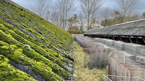 Minkfarm under nedrivning. FOTO: Bygningsstyrelsen.
