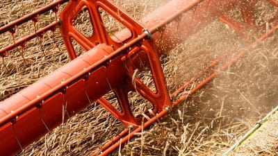 Ansatte i landbruget er h&aring;rdt ramt af arbejdsulykker, og arbejdsmarkedets parter vil gerne forebygge uheldene.  
