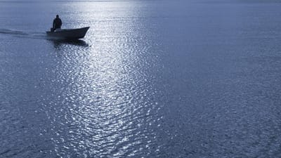 Frem til i dag er mindst 35 d&oslash;de p&aring; job i Danmark i 2010. 