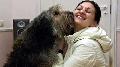 Hunden er menneskets bedste ven. K&aelig;ledyr har en positiv effekt p&aring; mennesker.