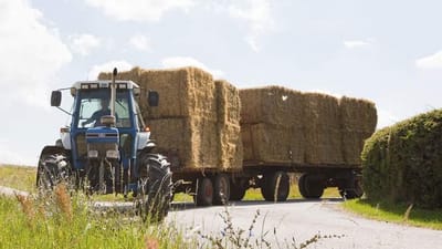 Hvert &aring;r ender cirka 9 b&oslash;rn under 13 &aring;r som tal i statistikkerne over arbejdsulykker. Forklaringen er ofte, at de er med far og mor p&aring; arbejde. For eksempel i landbruget.