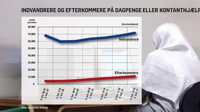 Stadig flere indvandrere og efterkommere med ikke-vestlig baggrund er p&aring; kontanthj&aelig;lp eller dagpenge.
