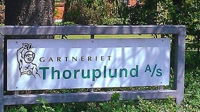 Gartneriet Thoruplund ved Odense har i flere &aring;r benyttet st&aelig;rkt underbetalt arbejdskraft fra Litauen til trods for, at gartneriet er medlem af arbejdsgiverforeningen GLS-A og har forpligtiget sig til at f&oslash;lge overenskomsten.