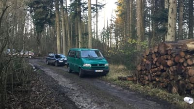 Det er i disse skove, at litaure fra UAB Robega arbejder for Naturstyrelsen.