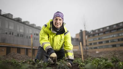 29-&aring;rige Mads Aarsdal er tillidsrepr&aelig;sentant og har til sommer v&aelig;ret ansat i 10 &aring;r hos anl&aelig;gsgartner- og entrepren&oslash;rfirmaet Sven Bech.