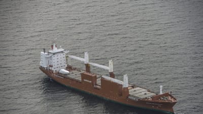 En sømand omkom, mens han var i gang med at male et fragtskib. Skibet på billedet har intet med arbejdsulykken at gøre.