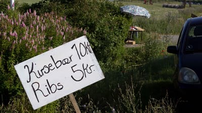 Kvinden svarede på en blanket ”nej” til, at hendes mand drev selvstændig virksomhed. Det gjorde hun, fordi vejboden var en hobby. Men hun bliver fanget på den afkrydsning.