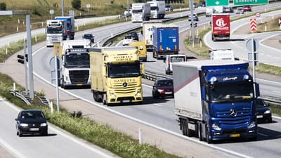 &nbsp;Arbejdstilsynet tjekkede 203 lastbiler fra 191 virksomheder og afgav 73 reaktioner.