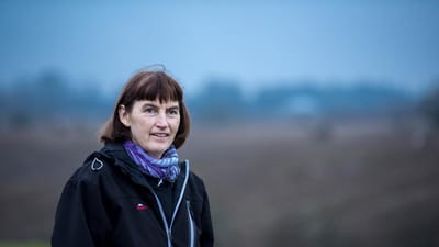 Fagbladet 3F har tidligere skrevet om Sonja Sandager, som føler, at hun bliver straffet for at tage vikararbejde. På grund af de nye dagpengeregler har hun fået beregnet en dagpengesats, som er 3.000 kroner lavere end normalt. 3F har relativt mange ramte.