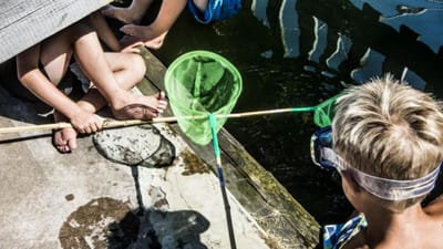 Igen i &aring;r er ans&oslash;gertallet til feriehj&aelig;lp vokset. Det kan v&aelig;re en indikator for, at flere bliver fattige, mener b&aring;de forsker og B&oslash;rner&aring;det.