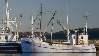 Fiskerens arbejdsskadesag er endnu ikke afsluttet, og derfor har retten endnu ikke kunnet fastsætte erstatningens størrelse.