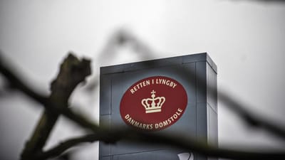Serbiske arbejdere er blevet dømt til udvisning og har fået bøder på 4.500 kroner for at have arbejdet i Danmark uden de fornødne tilladelser.