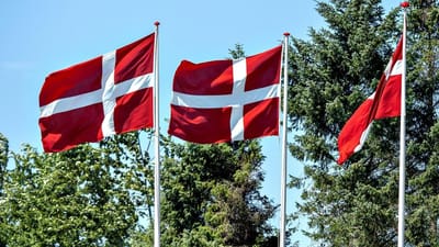 Grundlovsdag 5. juni er det tætteste, Danmark kommer på en nationaldag, og mange kan holde fri fra arbejde. 
