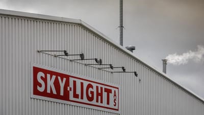 Plastvirksomheden Sky-Light mener, at de har taget alle forholdsregler i en kemikaliesag, hvor syv ansatte er blevet syge af at arbejde med farlig kemi.