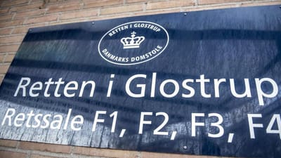 15 ukrainske arbejdere er blevet id&oslash;mt 20 dages frihedsber&oslash;velse og udvisning af Danmark.