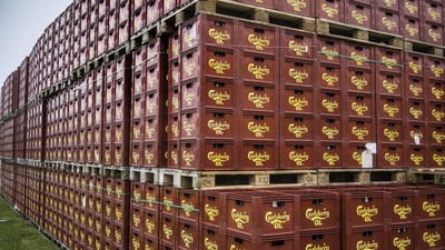 Carlsberg er allerede i gang med at eksperimentere med milj&oslash;venlig indpakning til deres &oslash;l.