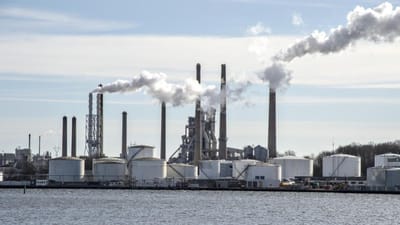 De 267 ansatte på Aalborg Portland er alle i daglig kontakt med cementstøv og er derfor i fare for at udvikle en lungelidelse, hvis der ikke bliver passet på.