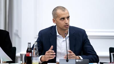 I 2019 fik omkring 3.000 unge tilladelse til at arbejde og holde ferie i Danmark via Working Holiday-ordningen.