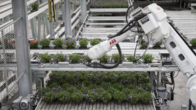 Gartneriet PKM A/S ved Odense har indført mere fleksible arbejdstider under corona-krisen.
