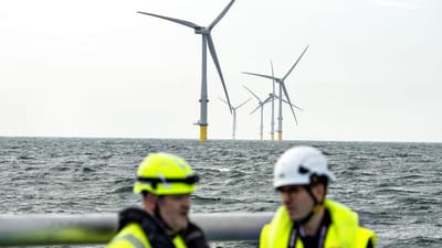 Det er blandt andet inden for havvindm&oslash;lleindustrien, at der i de kommende &aring;r kan v&aelig;re mange job til den rum&aelig;nske arbejdskraft i Danmark.