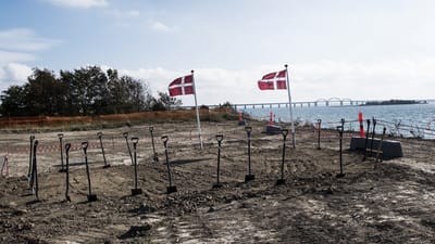 Trods store ambitioner om at få mange lokale i arbejde på byggeriet af den nye Storstrømsbro er det i dag store virksomheder fra Italien, Rumænien og Portugal, der sidder på omkring 75 procent af det offentlige milliardprojekt.
