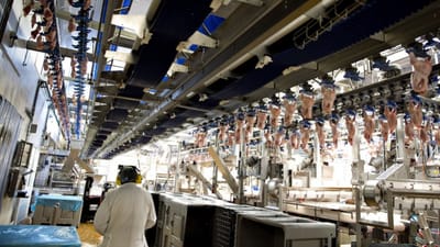 Test af alle ansatte p&aring; Danpo-slagteri i Aars vil afsl&oslash;re flere corona-smittede blandt de ansatte, vurderer produktionsdirekt&oslash;r.