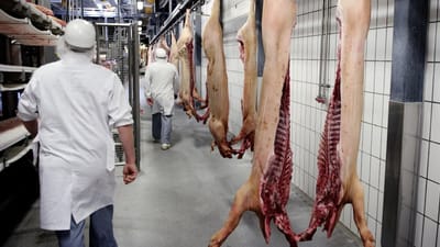 Fra F&oslash;devareforbundet NNF's side mener man, at der i &oslash;jeblikket foreg&aring;r en un&oslash;dig hetz mod slagteriarbejdere.