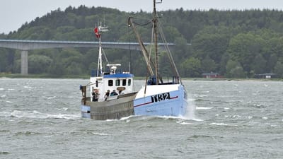 For hver 10.000 medlemmer af fagforbundet, der er besk&aelig;ftiget inden for landbrug, skovbrug eller fiskeri, fik 300 i 2018 anerkendt en arbejdsulykke.