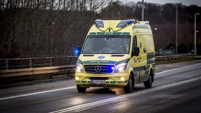 En 53-&aring;rig mand mistede sent torsdag eftermiddag livet i en arbejdsulykke i N&oslash;rre Aaby ved Middelfart.