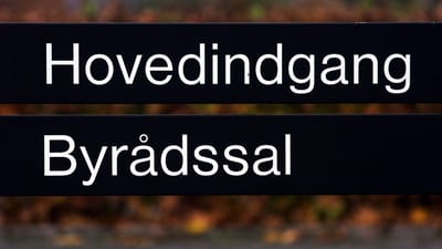 Reglerne giver gode muligheder for, at man b&aring;de kan v&aelig;re ansat i et fleksjob og blive valgt til byr&aring;det, sl&aring;r besk&aelig;ftigelsesministeren fast. 