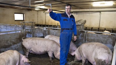 Svineproducent og formand for Danish Crown, Erik Bredholt, har snydt to ukrainske medarbejdere for løn og har derfor måttet efterbetale 125.000 kroner.