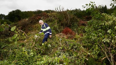 J&oslash;rn Mikkelsen har m&aring;ttet stoppe med at t&oslash;mme skraldespande efter faldulykken og er nu i fleksjob p&aring; genbrugspladsen i blandt andet Galten.