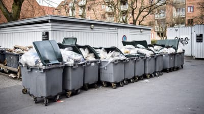 S&aelig;rligt indholdet i madcontaineren har stor risiko for at blive levende, og det udg&oslash;r en sundhedsrisiko for skraldem&aelig;nd.