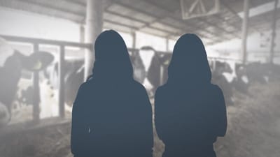 To asiatiske kvinder har hver betalt, hvad der svarer til over 9.000 kroner for at komme i landbrugspraktik hos en dansk landmand, hvor de if&oslash;lge Center mod Menneskehandel endte som ofre for menneskehandel til tvangsarbejde.