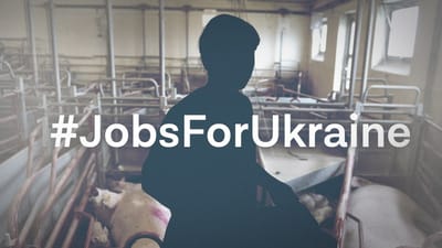 Det m&oslash;der stor kritik fra b&aring;de DI og SMVDanmark, n&aring;r nogle arbejdsgivere tilbyder job til 70 kroner i timen til ukrainske flygtninge. 