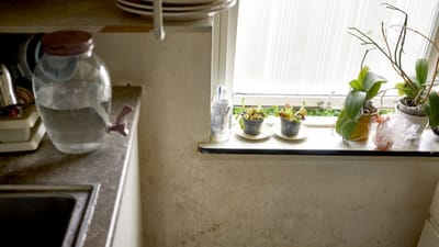 Køkkenet er et af de steder, hvor det er vigtigt at lufte ud, hvis man vil undgå skimmelsvamp i sin bolig.