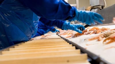 Fra 2040 er pensionsalderen baseret på et skøn og skal først vedtages af Folketinget i 2025.