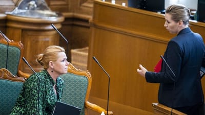 Danmarksdemokraternes formand, Inger Støjberg, og statsminister Mette Frederiksen (S) spiller en nøglerolle i kampen om 3F'ernes stemmer, siger valganalytikeren.