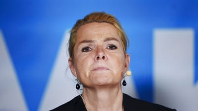 Der er splittelse blandt Inger St&oslash;jbergs v&aelig;lgerskare i Danmarksdemokraterne om flere centrale emner. B&aring;de n&aring;r det g&aelig;lder bel&oslash;bsgr&aelig;nsen, Arne-pension og dagpengel&oslash;ft.