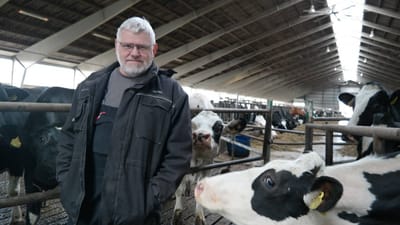 - Der er ingen undskyldning, og en situation som den beskrevne burde have v&aelig;ret opdaget og afv&aelig;rget tidligere, siger Kjartan Poulsen, formand for Landsforeningen af Danske M&aelig;lkeproducenter, om en sag om tvangsarbejde.