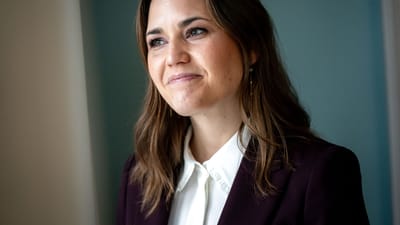 Siden december har Marie Bjerre (V) siddet for bordenden i det nyoprettede Digitaliserings- og Ligestillingsministeriet.